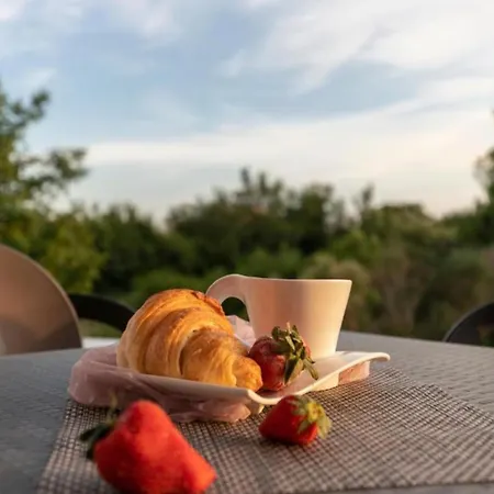 M & B Bibinje